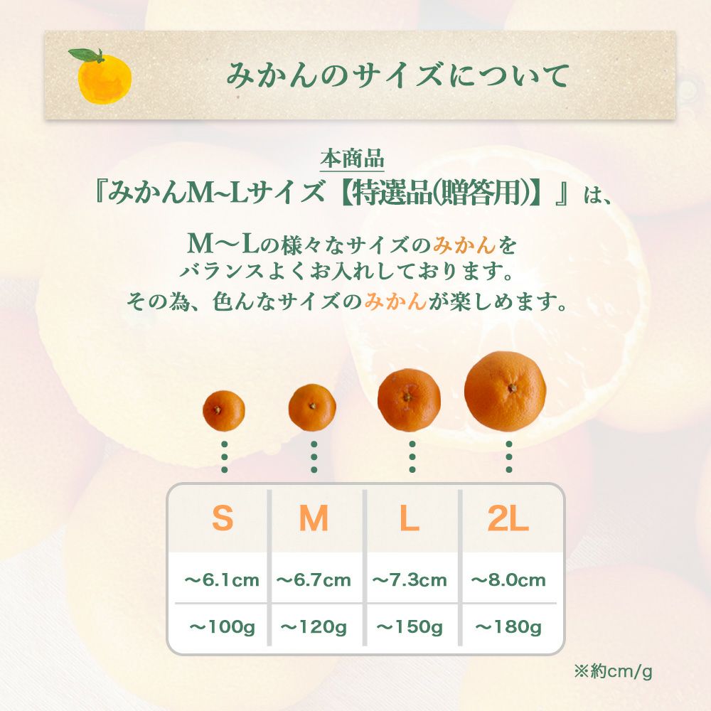 みかんM～Lサイズ【特選品(贈答用)】