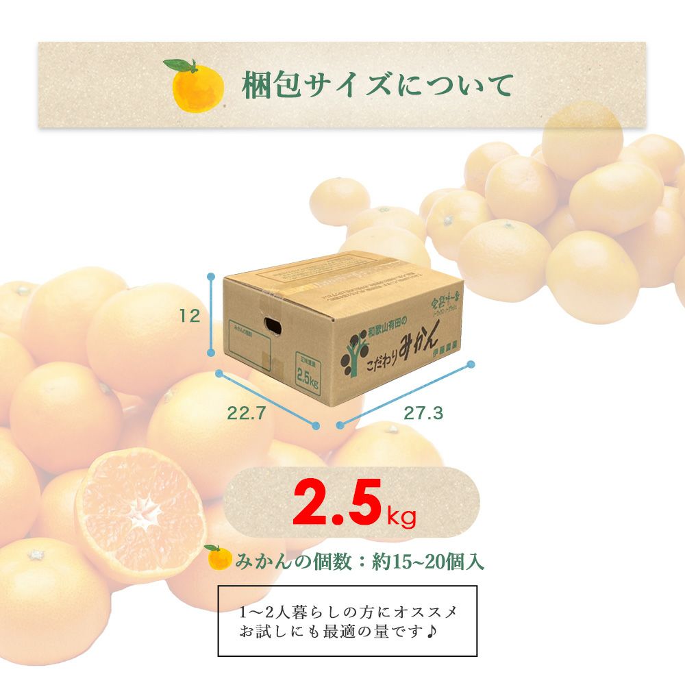【贈答用】有田みかん　Mサイズ　10k ご予約受付中】【年明け1/6以降｜順次発送予定】有田みかんM～L