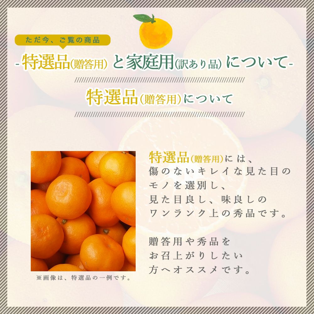 みかん　複数購入品 お届け予定が選べる♪｜お届け予定より発送予定】有田みかんミックス