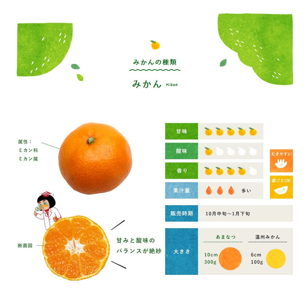 訳あり みかん小粒[5kg] 