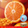 【ご予約受付中】訳あり ミックス[5kg・10kg] やまきずくん訳ありみかん 2S～3Lミックスサイズみかん
