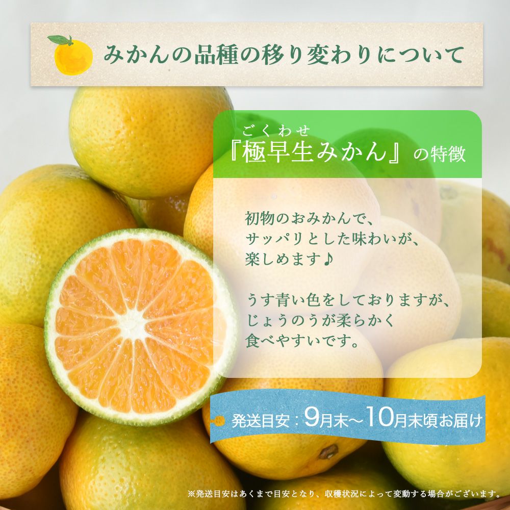 今期最後!?限定50箱】【お届け予定が選べる♪｜お届け予定より発送予定