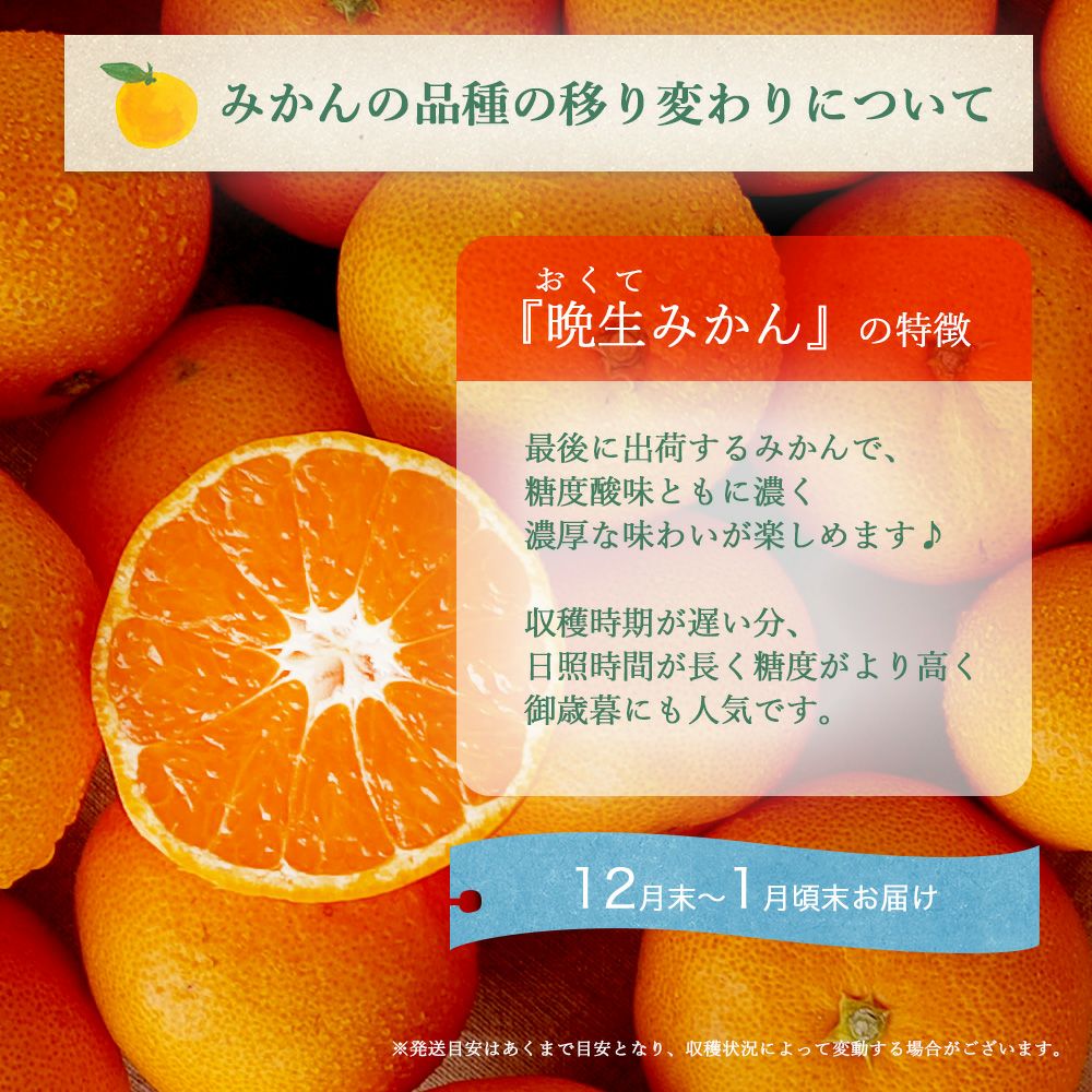 訳あり(硬めが多め)　箱込み10キロ 訳あり(硬めが多め) 箱込み10キロ
