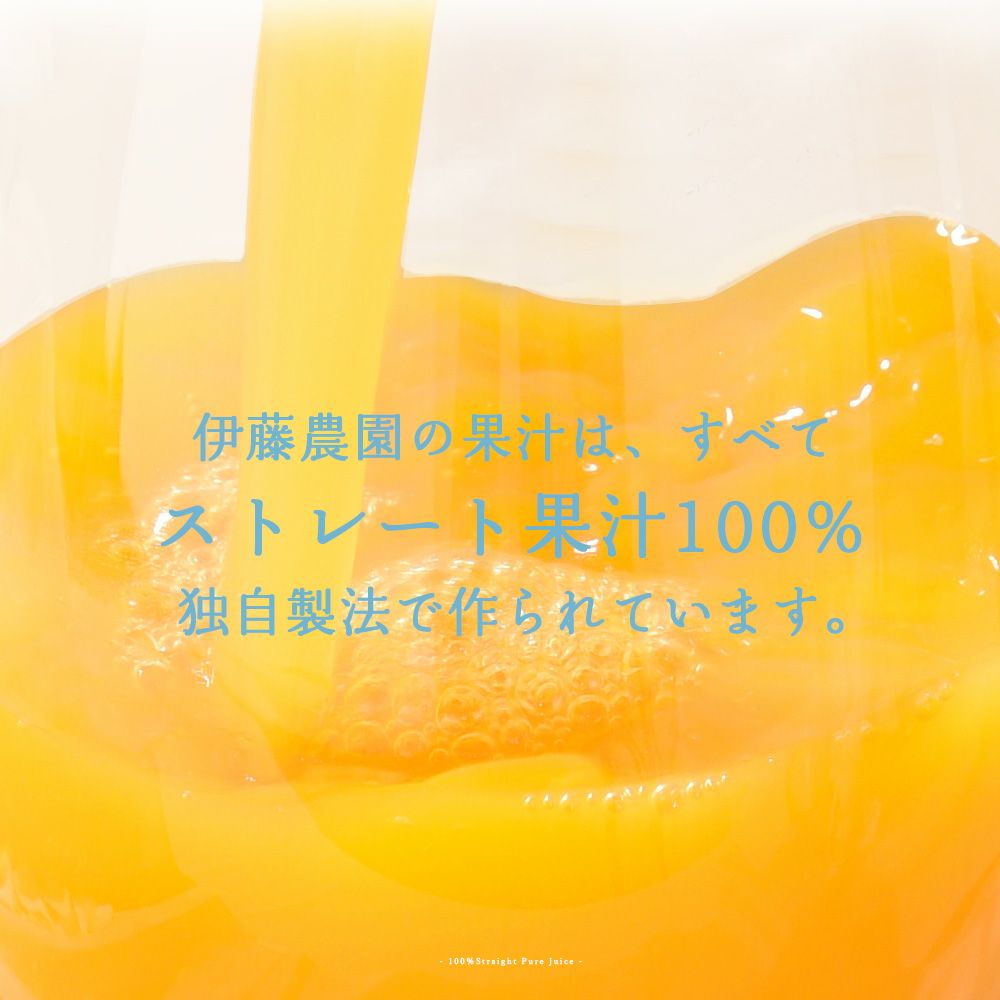 バラエティセットV-073 (みかんジュース バラエティセット)