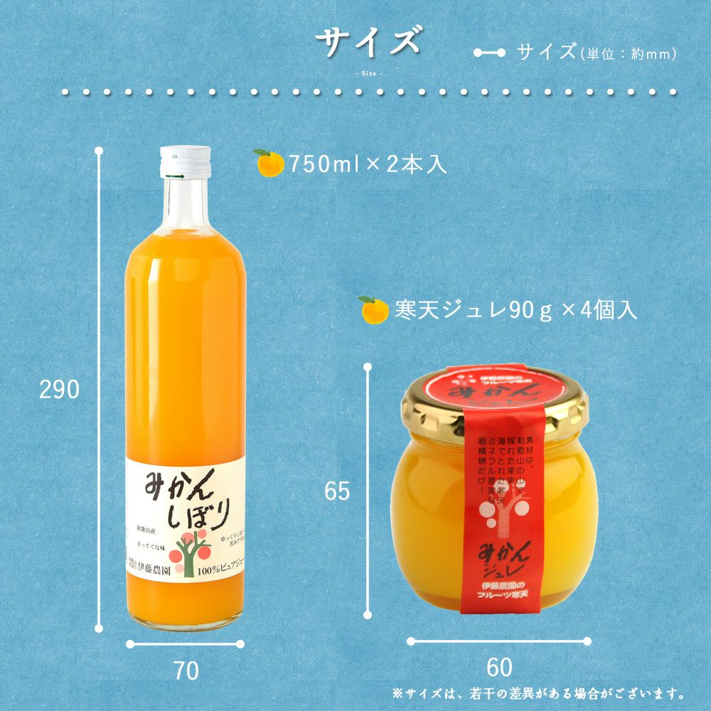 バラエティセットV-073 (みかんジュース バラエティセット)