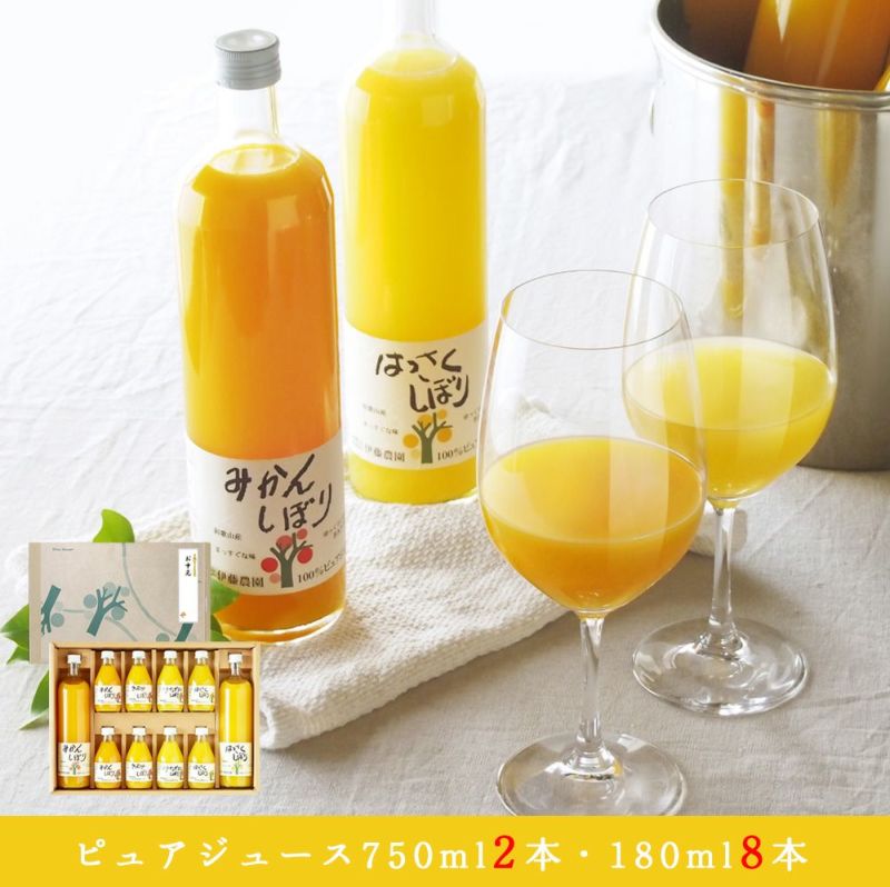 バラエティセットV-064(みかんジュース750ml×2本・180ml×8本 バラエティセット)