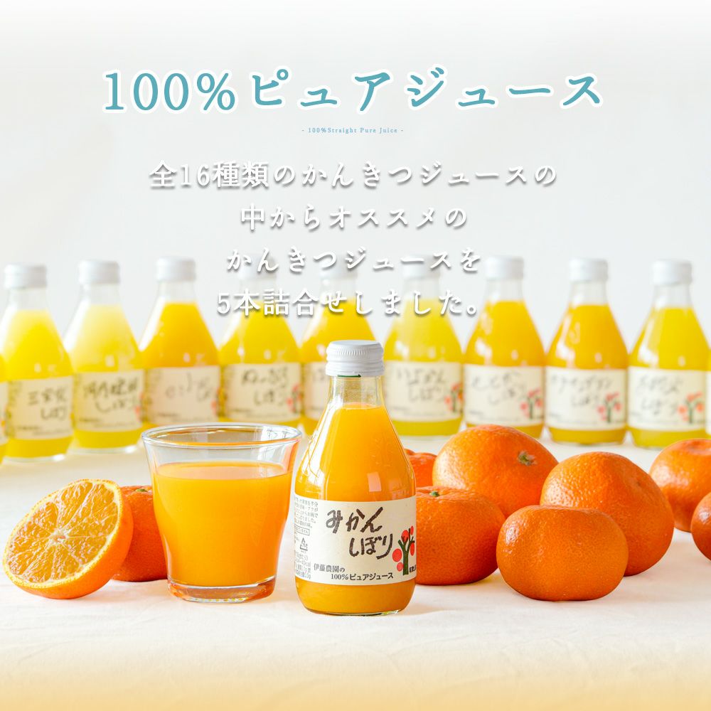 バラエティセットV-064(みかんジュース750ml×2本・180ml×8本 バラエティセット)