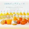 バラエティセットV-064(みかんジュース750ml×2本・180ml×8本 バラエティセット)