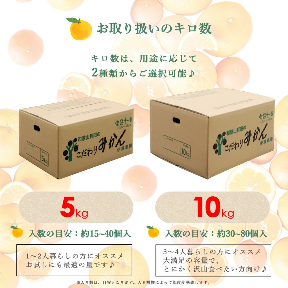 春かんきつお楽しみ箱【家庭用(訳あり)】5・10kg(3～4種類の春かんきつ詰め合せ)