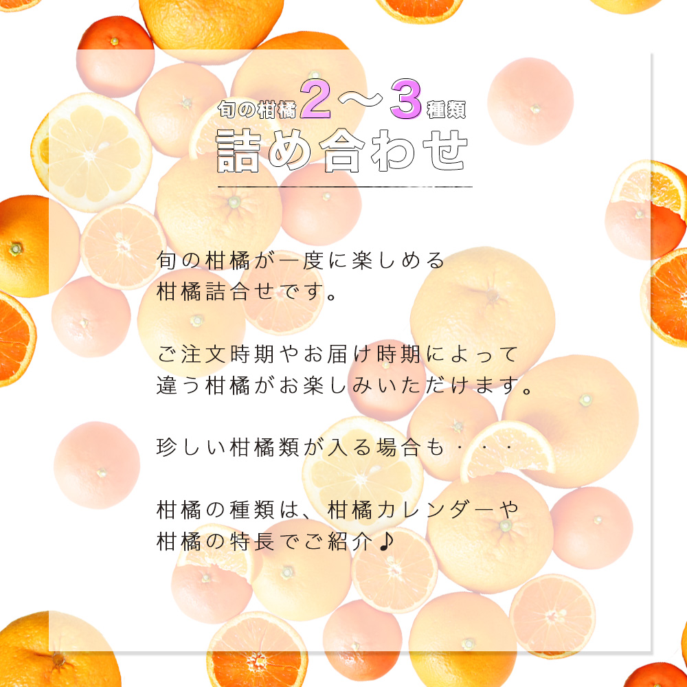 春かんきつお楽しみ箱【家庭用(訳あり)】5・10kg(3～4種類の春かんきつ詰め合せ)