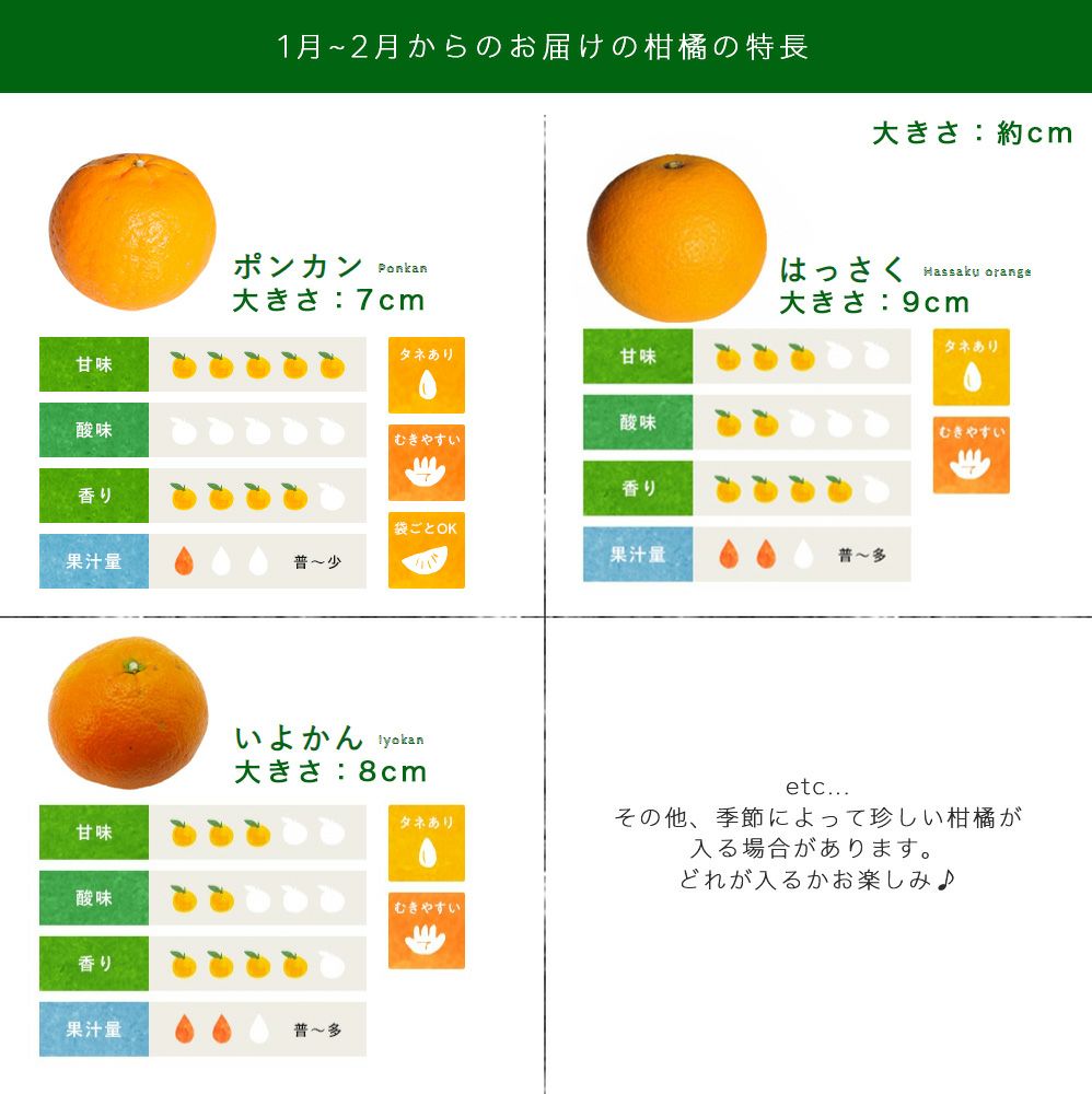 訳あり(硬めが多め)　箱込み10キロ 訳あり(硬めが多め) 箱込み10キロ