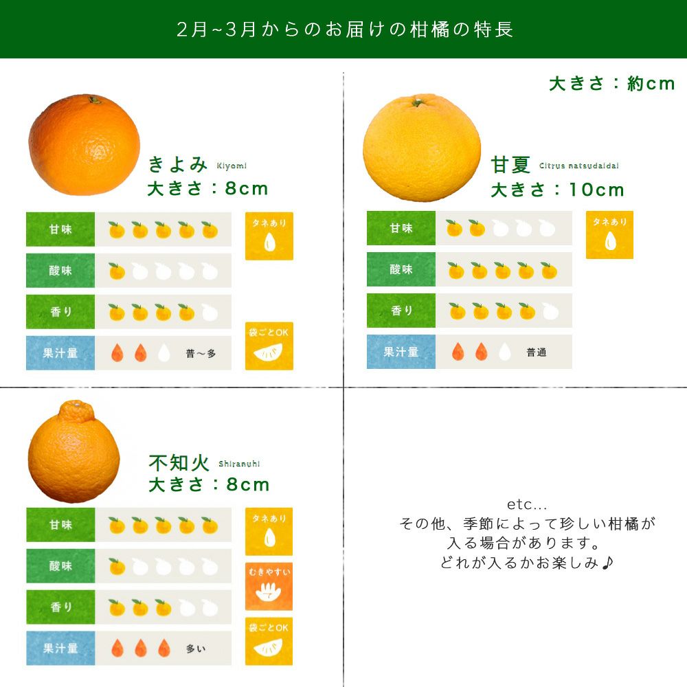 春季限定○順次発送中】春かんきつお楽しみ箱【家庭用(訳あり