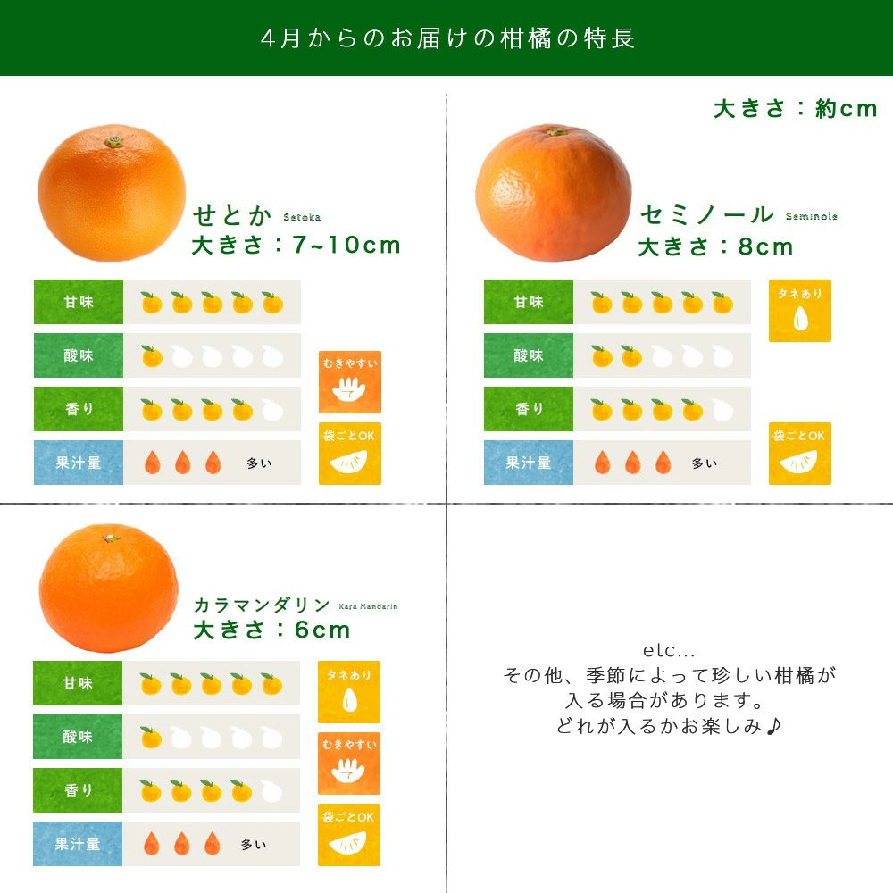 春かんきつお楽しみ箱【家庭用(訳あり)】5・10kg(3～4種類の春かんきつ詰め合せ)
