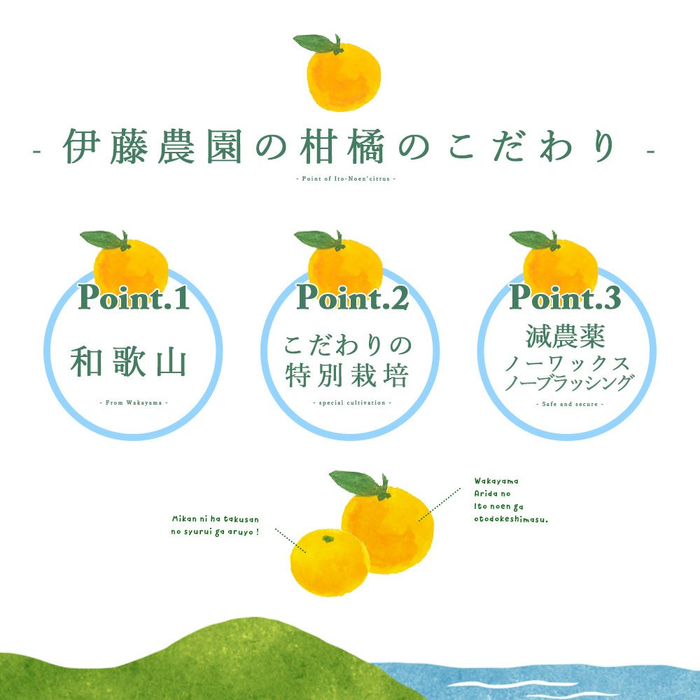 みかん小粒サイズ【家庭用(訳あり品)】2.5kg]