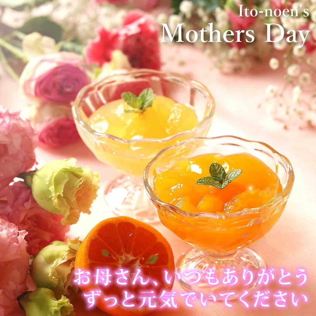 【母の日ギフト2025】ピュアフルーツ寒天ジュレ 6個(みかんジュレ他おすすめセット)セット(花・ﾒｯｾｰｼﾞｶｰﾄﾞ付)