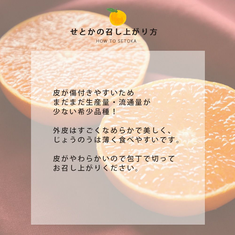 春季限定】せとか 【家庭用(訳あり)】5・10kg | 和歌山有田より