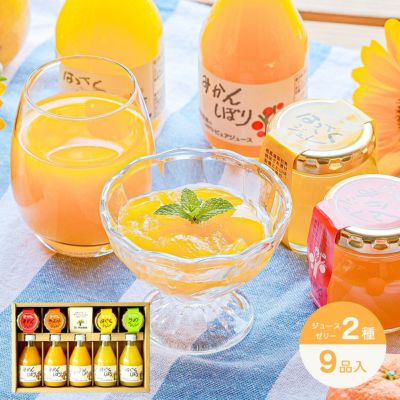 【 ギフト人気No.1 】バラエティセット V-113 100%ピュアジュース180ml×5本・ジュレ4個 (みかんジュース他バラエティセット)