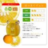 【 ギフト人気No.1 】バラエティセット V-113 100%ピュアジュース180ml×5本・ジュレ4個 (みかんジュース他バラエティセット)