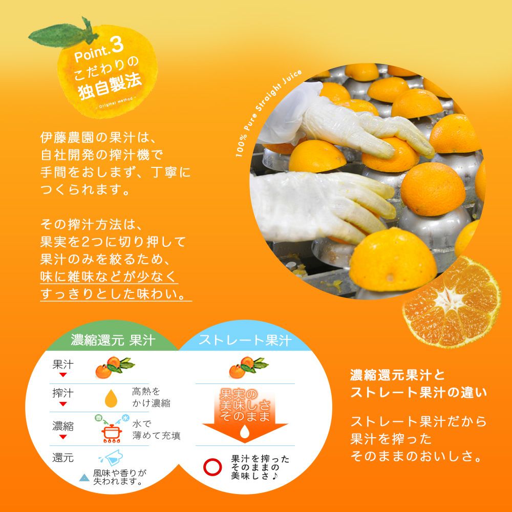 100%ピュアジュース 180ml(みかんジュースオススメセット)×10本