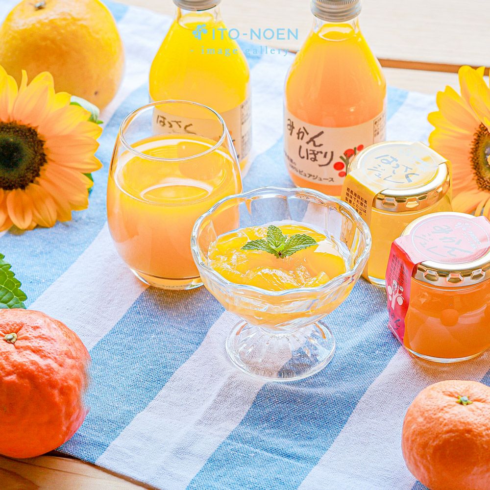 100%ピュアジュース 180ml(みかんジュースオススメセット)×10本