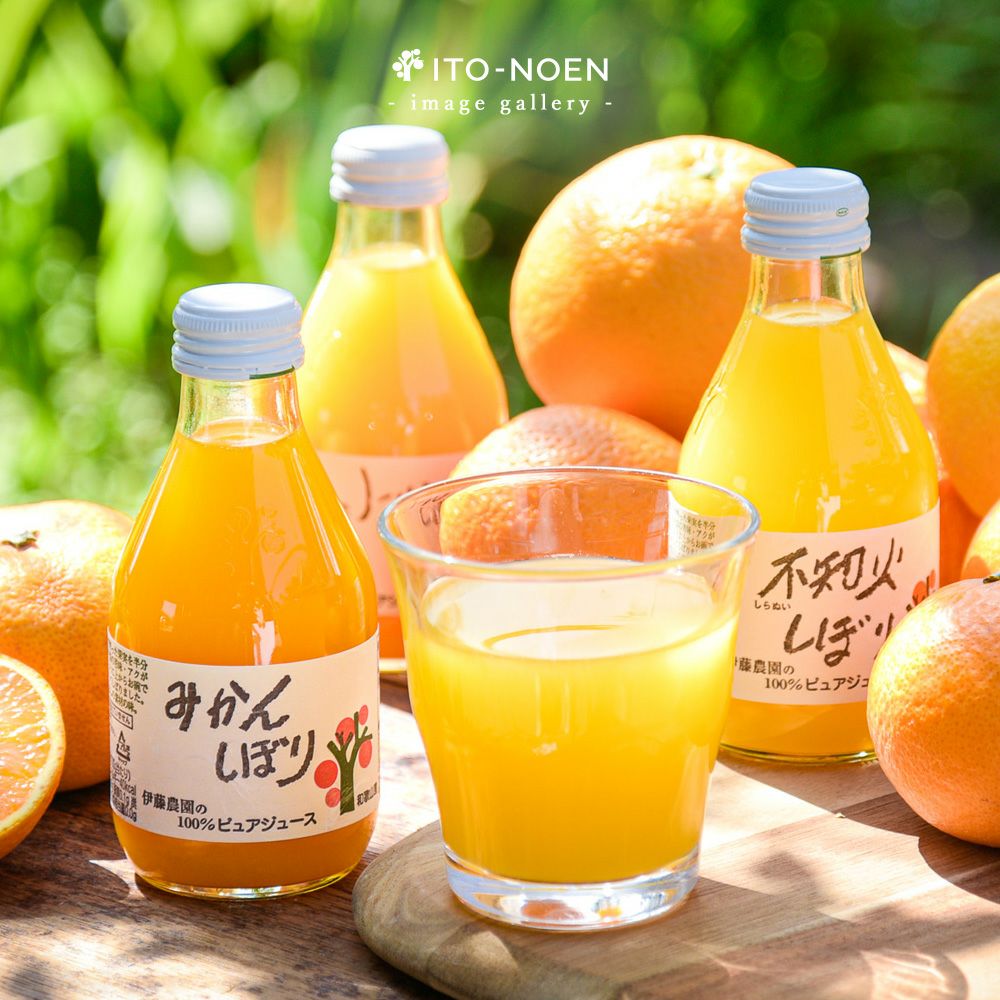 100%ピュアジュース 180ml(みかんジュースオススメセット)×10本