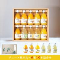 バラエティセット(100%ピュアジュース180ml×7本・素朴ドリンク3本)V-032 (みかんジュース バラエティセット)