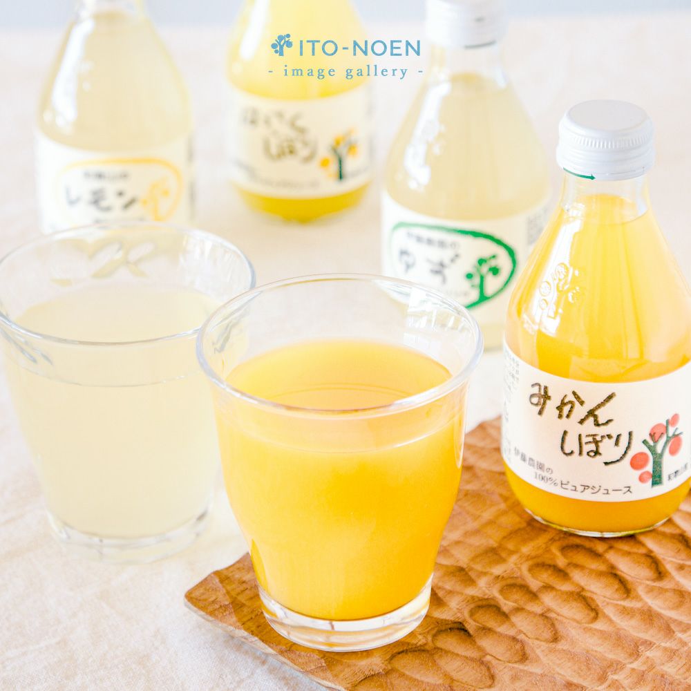 バラエティセット(100%ピュアジュース180ml×7本・素朴ドリンク3本)V-032 (みかんジュース バラエティセット)