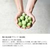 南高梅
