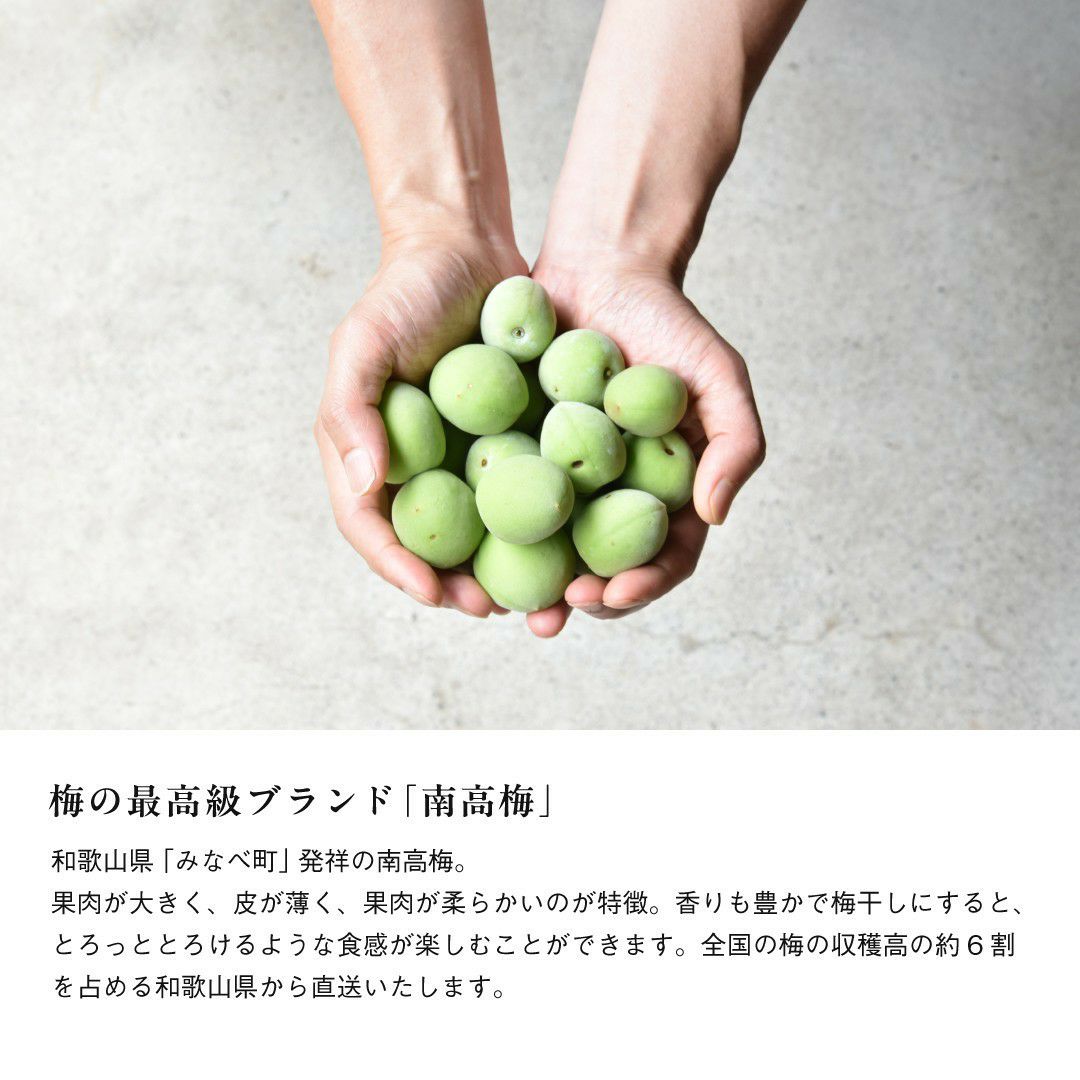 南高梅