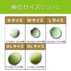 南高梅(青梅L～サイズ)3kg