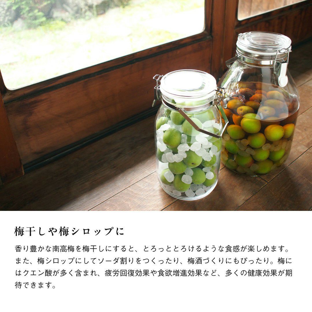 南高梅