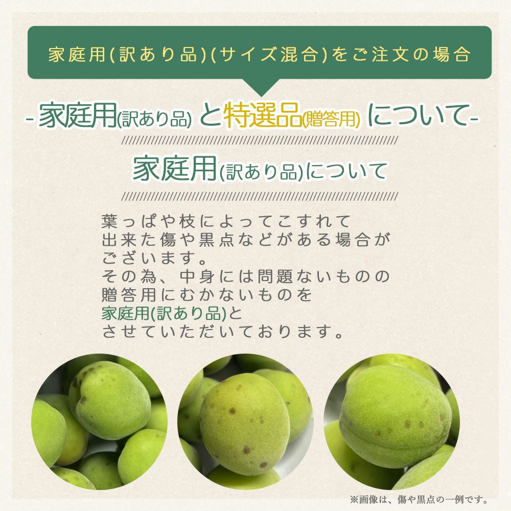 南高梅