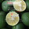 すだち【特選(贈答用)】400g