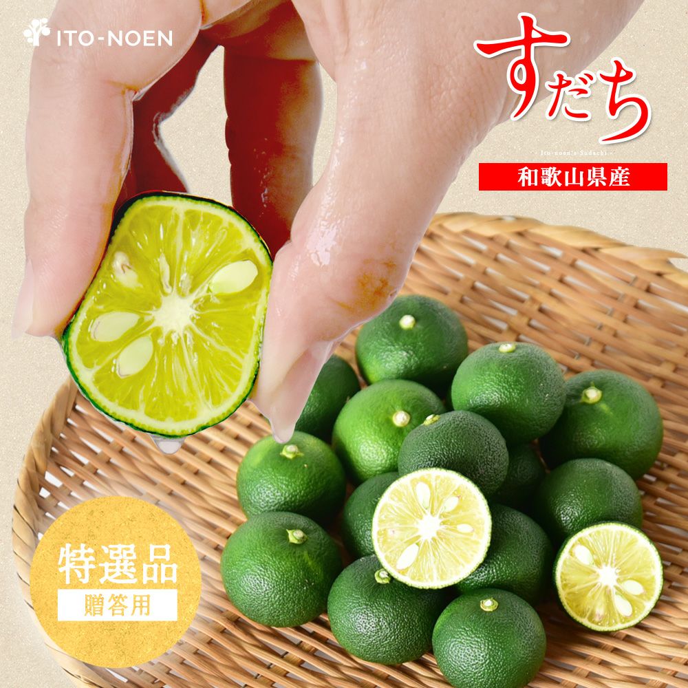すだち【贈答用(特選品)】500g・1kg