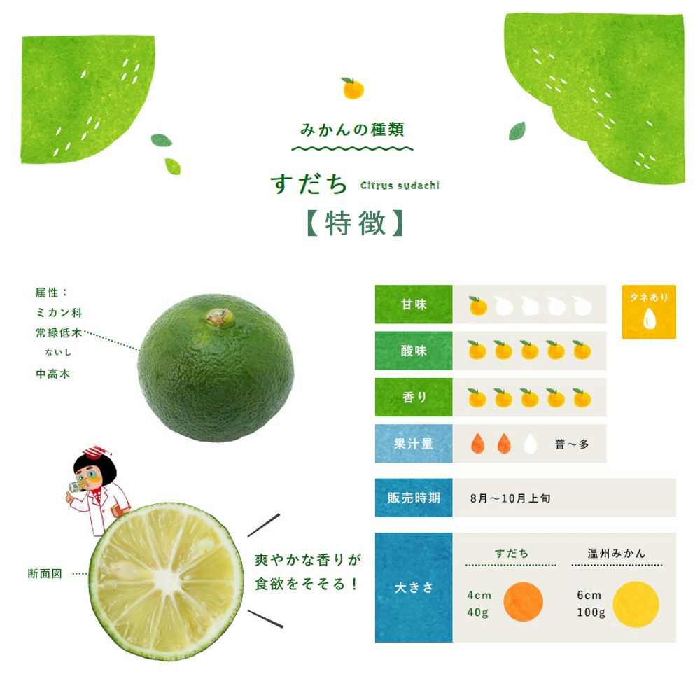 すだち【贈答用(特選品)】500g・1kg