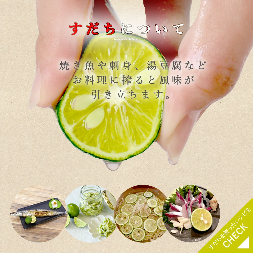 すだち【贈答用(特選品)】500g・1kg