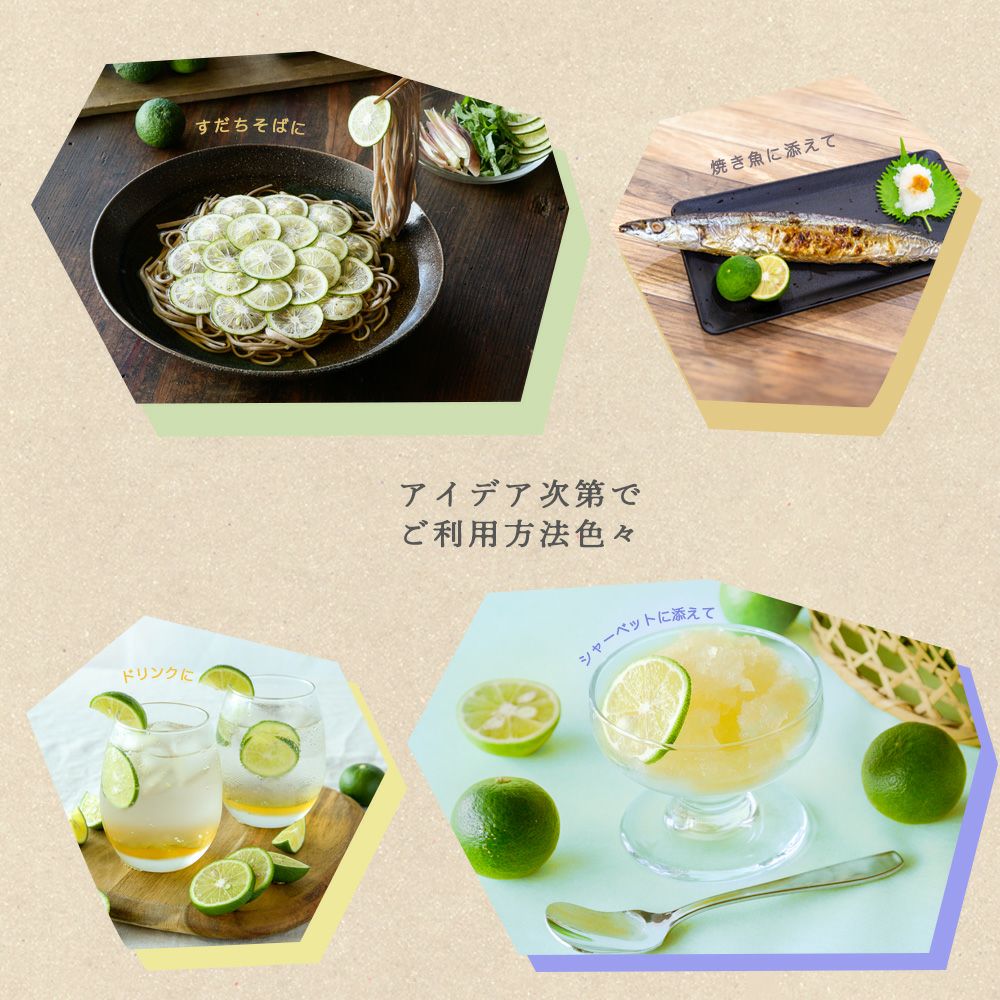 すだち【贈答用(特選品)】500g・1kg