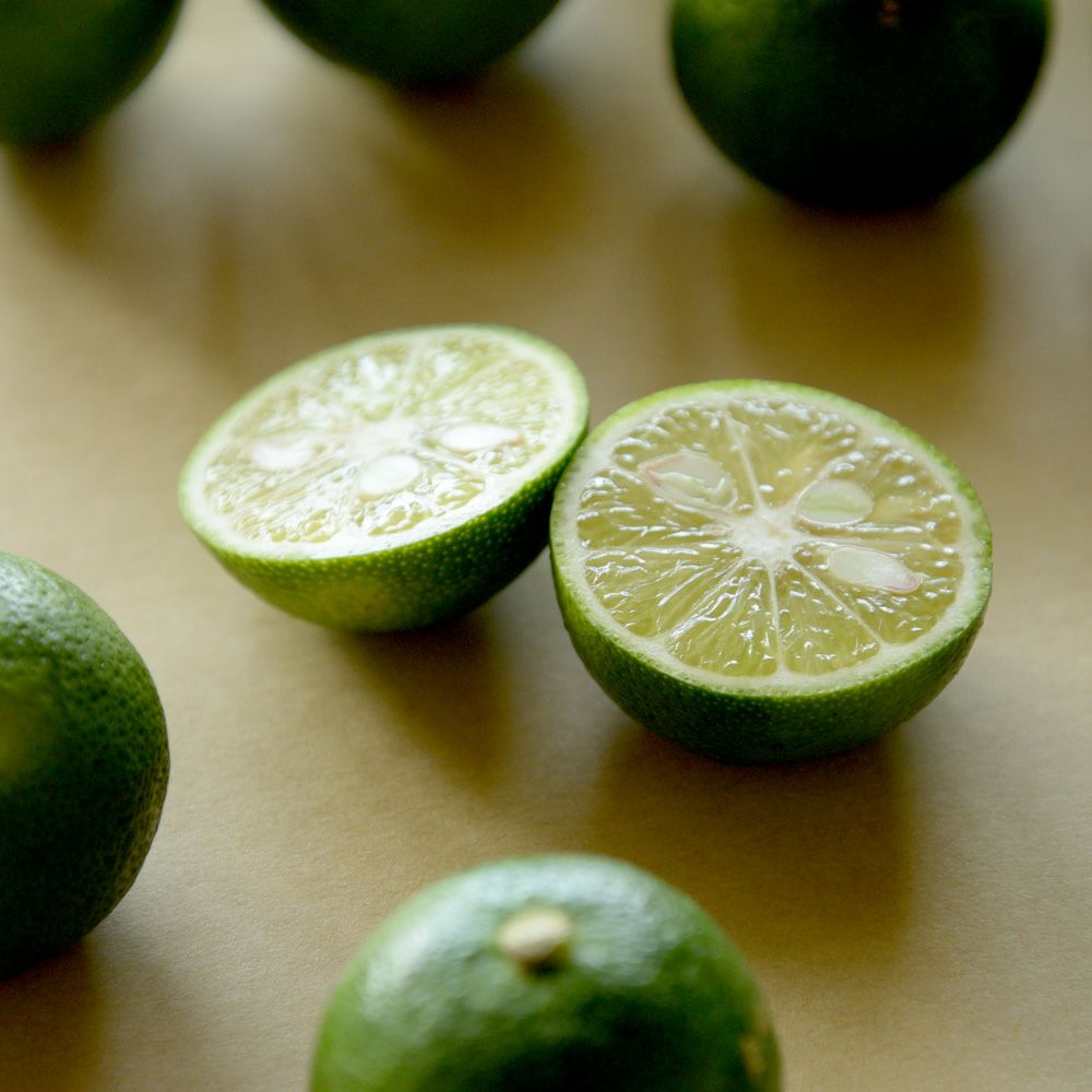 すだち【贈答用(特選品)】500g・1kg