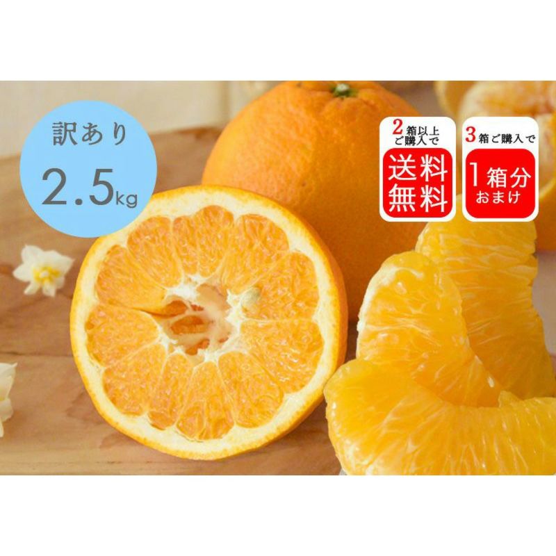 和歌山産 レモン 11個 ＋おまけ(はなゆず3個) - 果物