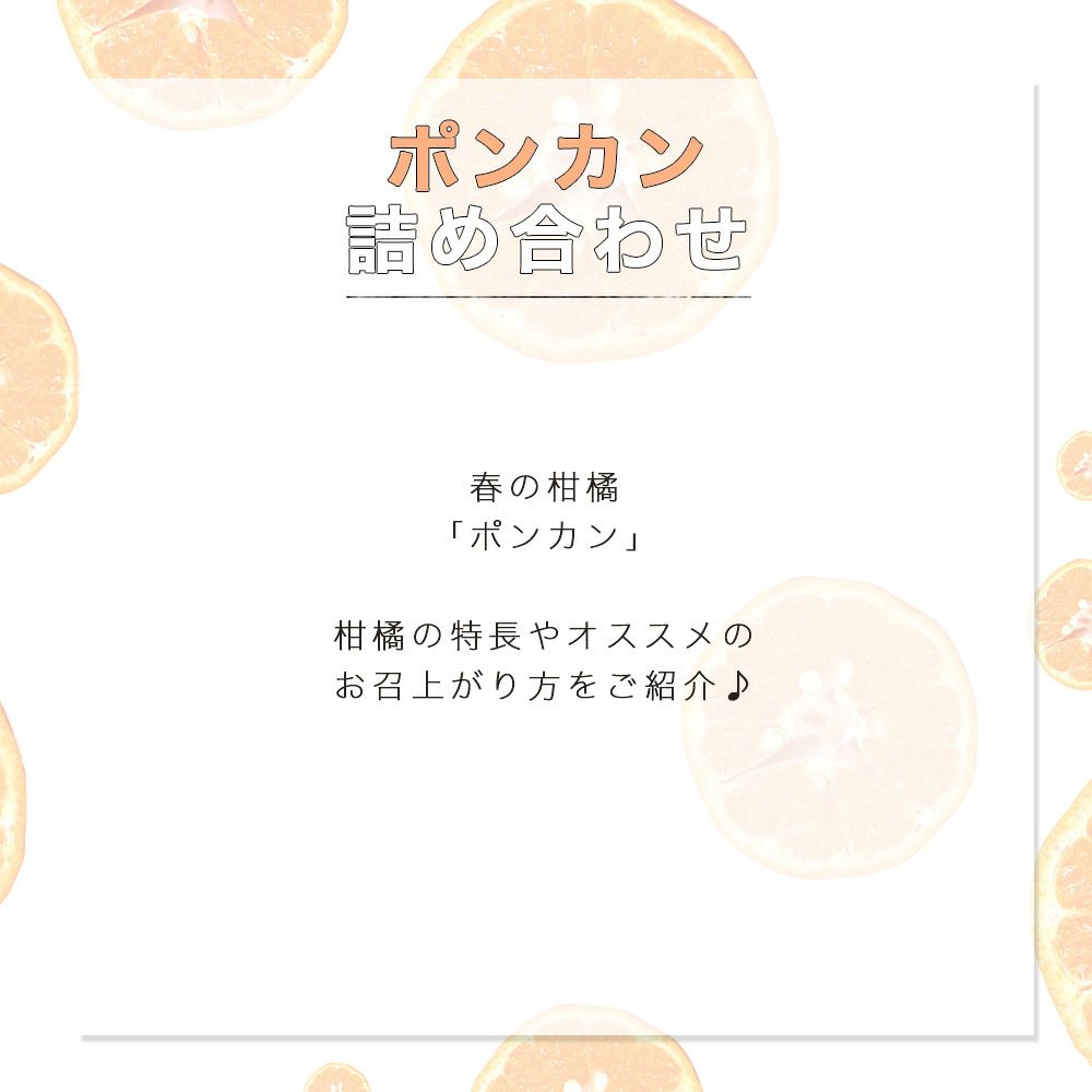 ポンカン【家庭用(訳あり)】2.5kg
