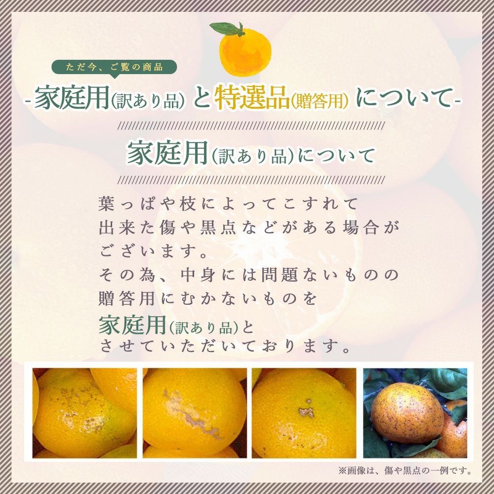 セミノール【家庭用(訳あり品)】2.5kg