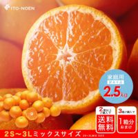 みかんミックスサイズ【家庭用(訳あり品)】2.5kg]