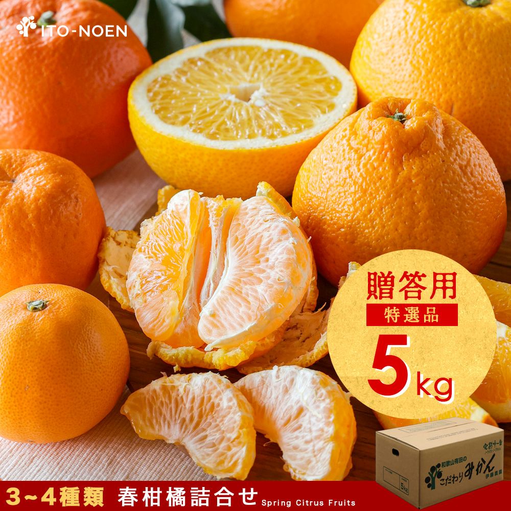 春かんきつお楽しみ箱【贈答用(特選品)】10kg(3～4種類の春かんきつ詰め合せ)