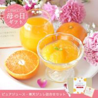 【母の日ギフト】【 ギフト人気No.1 】バラエティセット V-113 100%ピュアジュース180ml×5本・ジュレ4個 (みかんジュース他バラエティセット)
