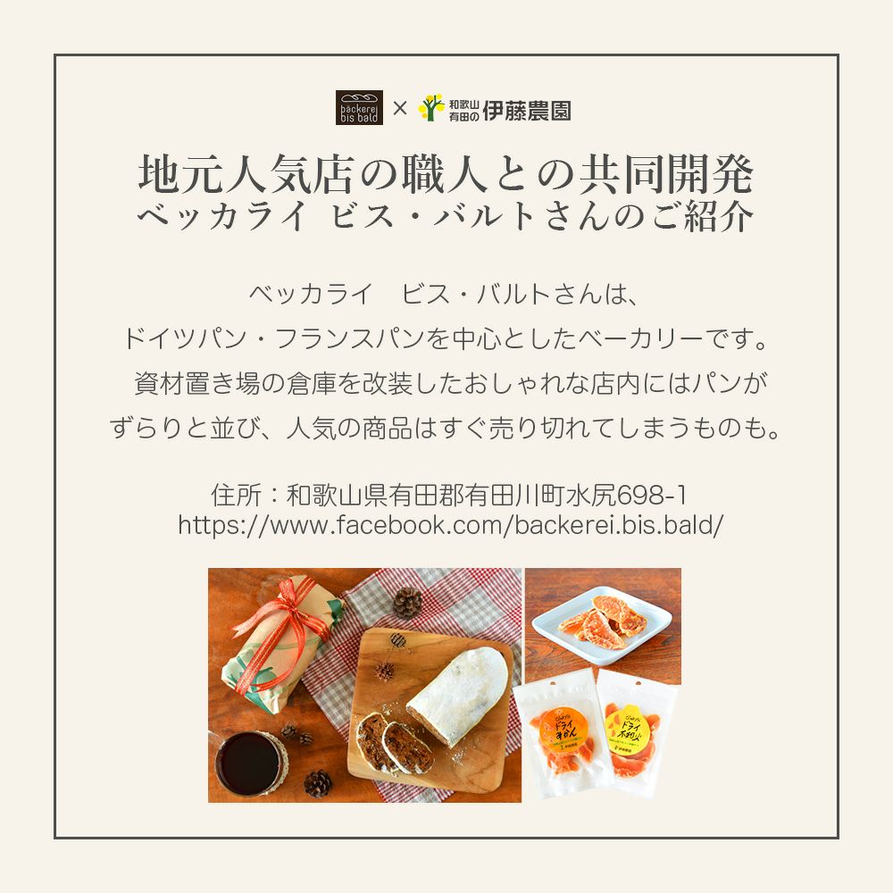 有田みかん シュトーレン