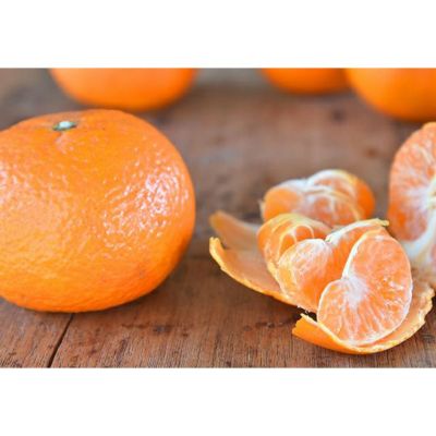 NEW】津之輝（つのかがやき） 限定販売 | 有田みかん・和歌山県産柑橘