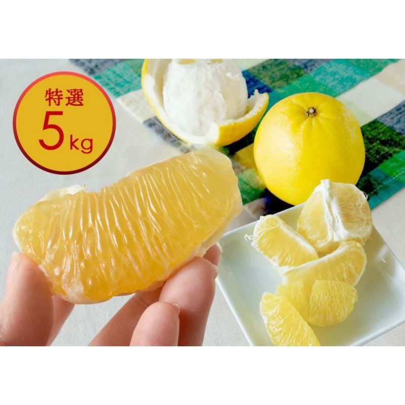 河内晩柑【贈答用(特選品)】5kg | 和歌山有田より温州みかんをはじめ