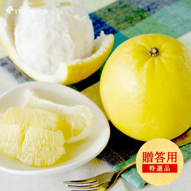 春季限定】【4月中旬より順次発送予定】河内晩柑【贈答用(特選品)】5