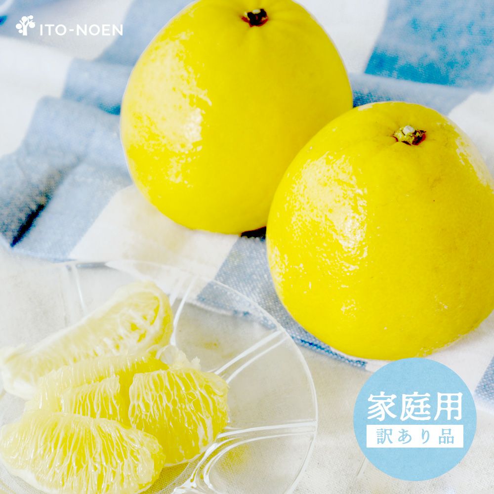 河内晩柑