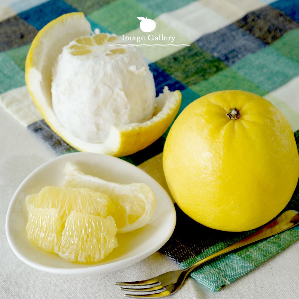 河内晩柑【家庭用(訳あり品)】5・10kg